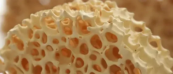 zirconia foam ceramic filter